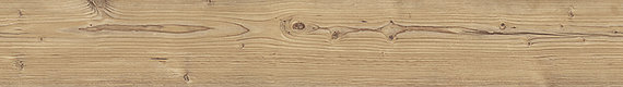 D 3045 BD Silver Fir